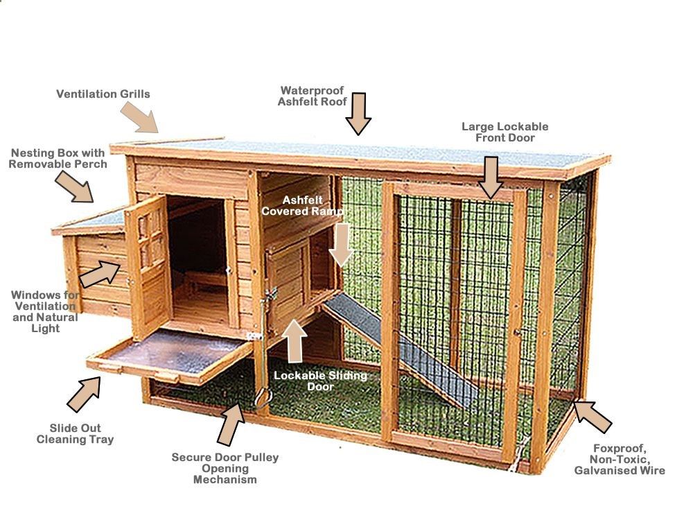 Diy hen house design