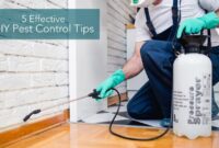 Diy pest control