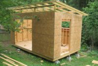 Diy shed