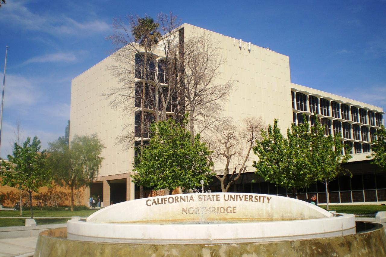 California state university