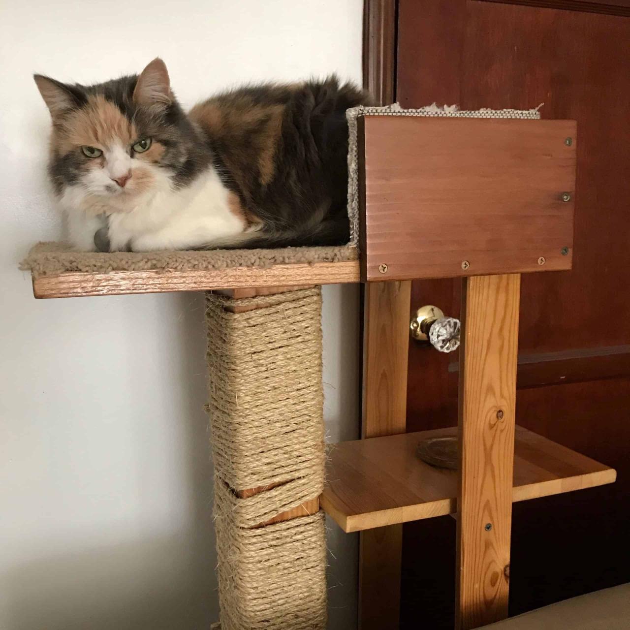 Diy cat tree