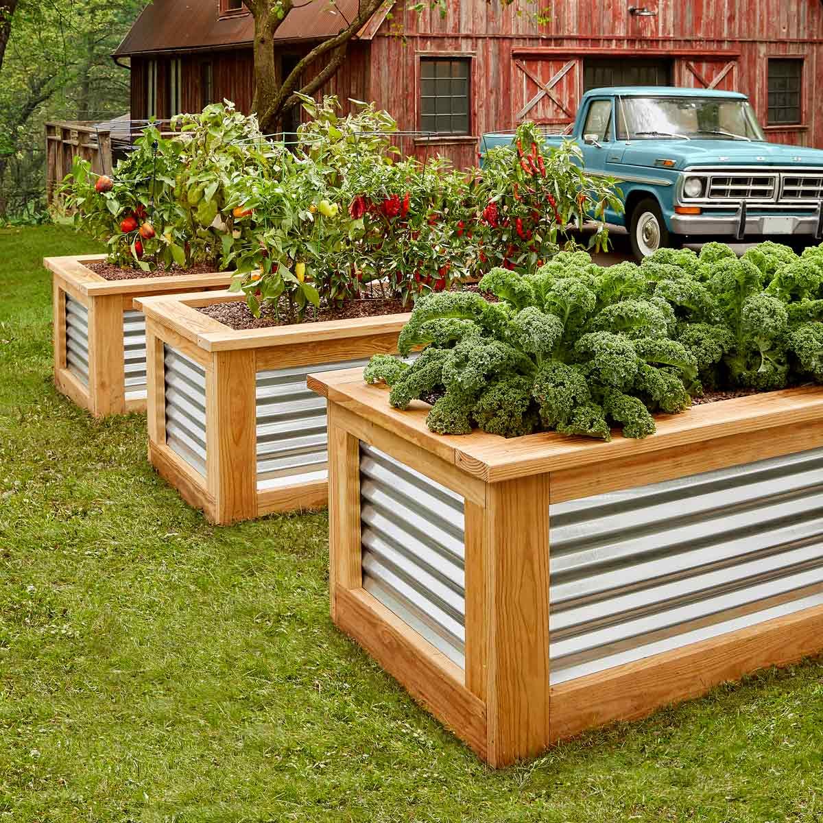 Diy raised garden beds