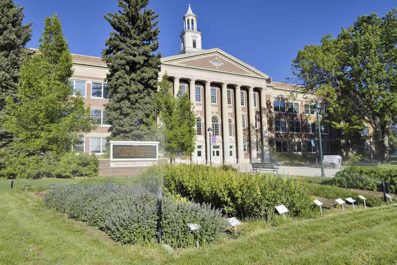 Colorado state university