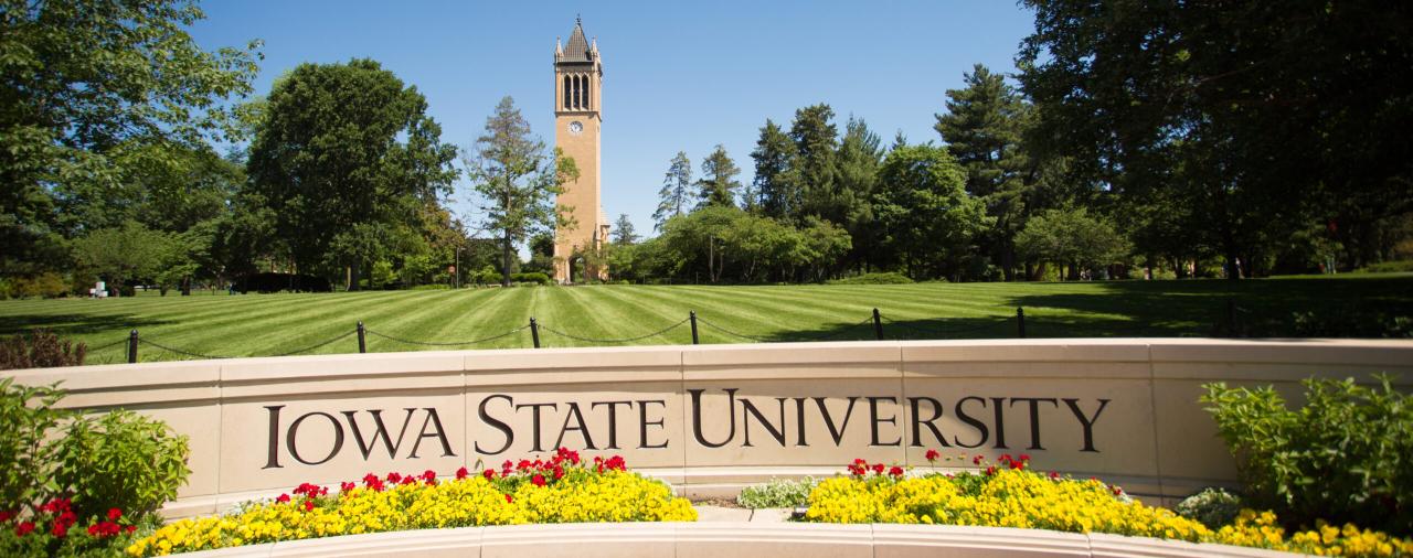 Iowa state university