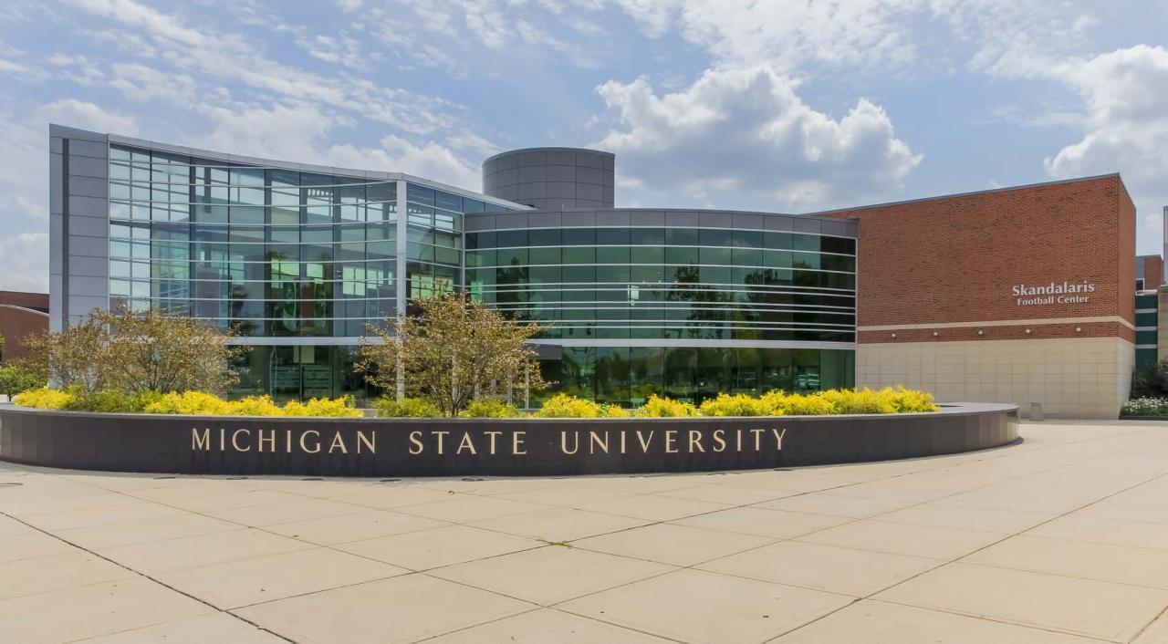 Michigan state university