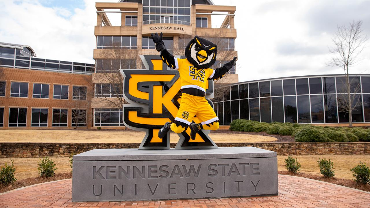 Kennesaw state university