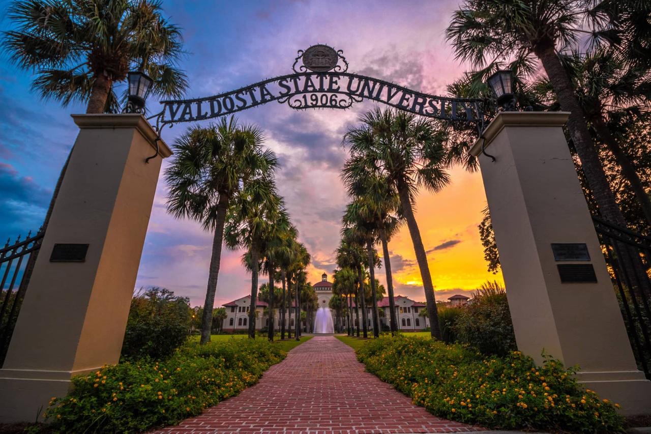 Valdosta state university