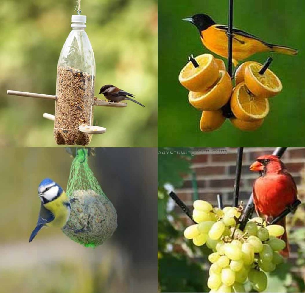 Diy bird feeder