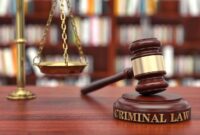 Criminal defense lawyer