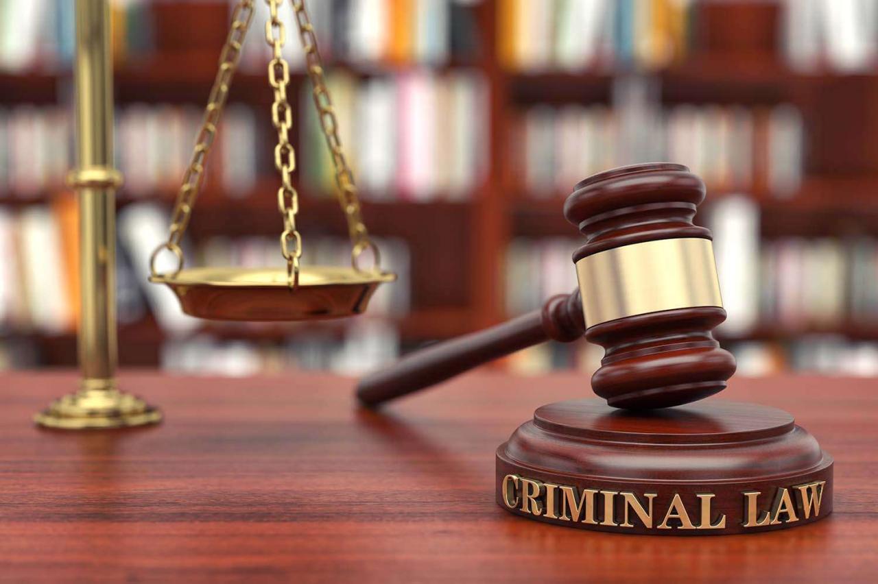 Criminal defense lawyer