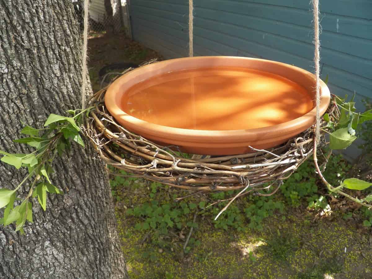 Diy bird bath