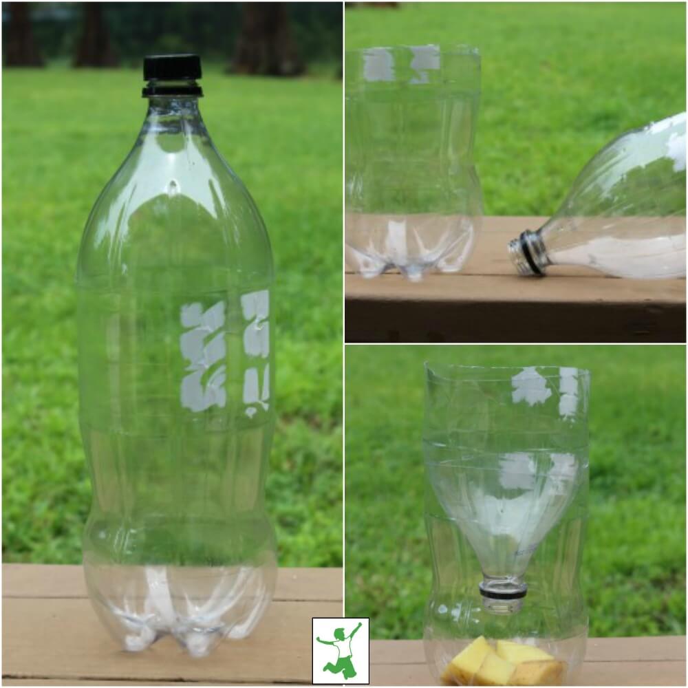 Diy fly trap