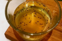 Diy fruit fly trap