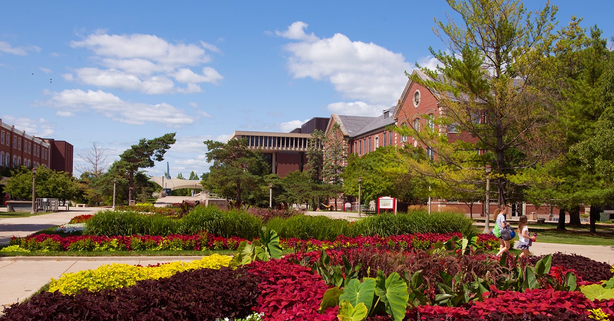 Illinois state university