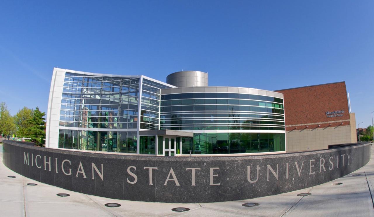 Michigan state university