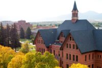 Montana state university