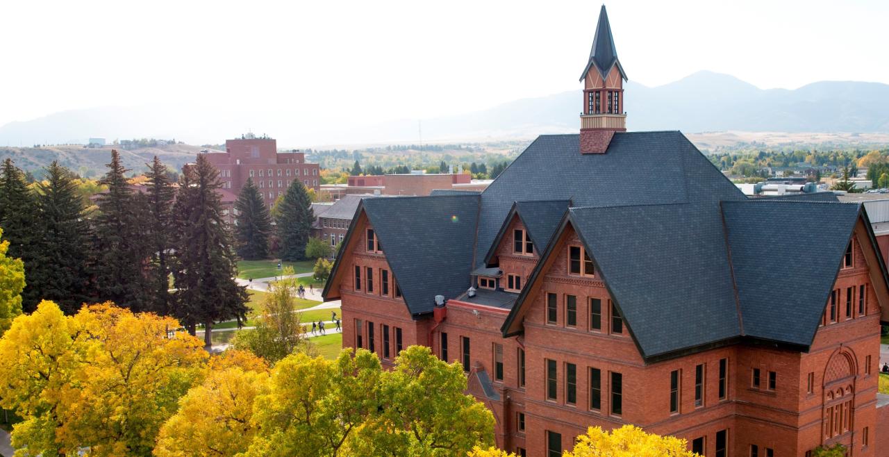 Montana state university