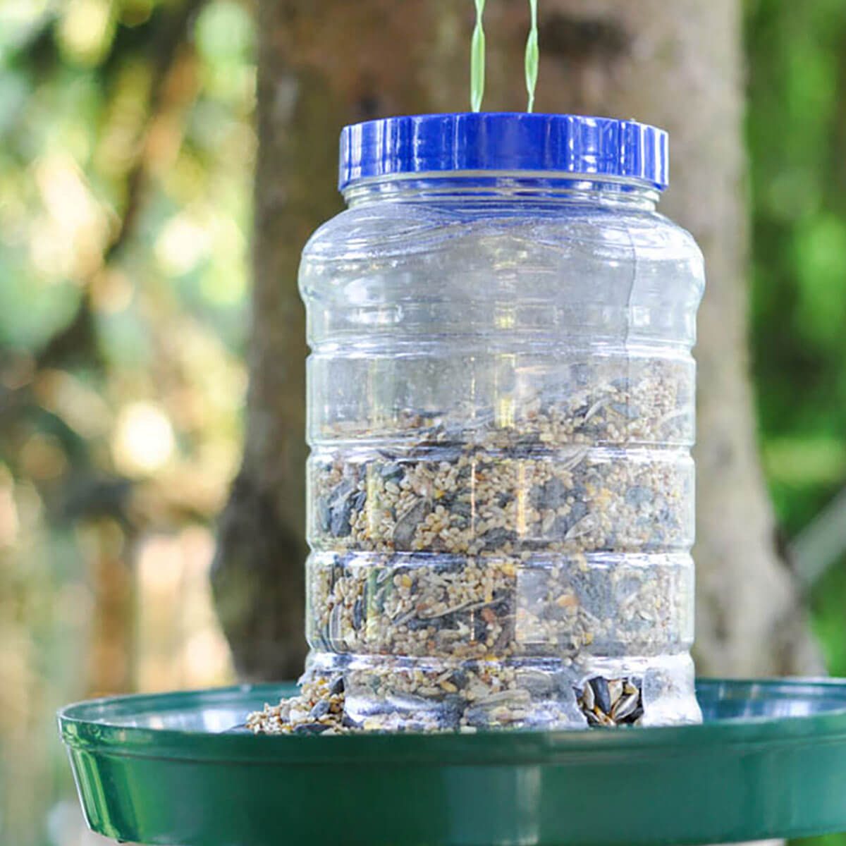 Diy bird feeder